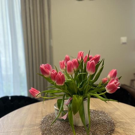 Apartament Kaszmirowy 비엘스코-비아와 외부 사진